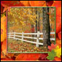 Листья-рамки-Осень в парке